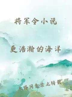 将军令小说