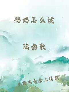 鹧鸪怎么读