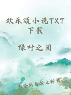 欢乐颂小说TXT下载