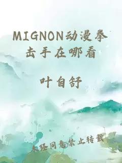 MIGNON动漫拳击手在哪看