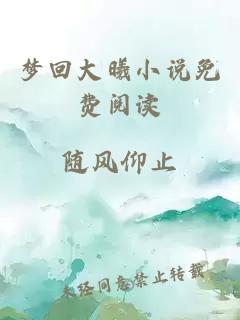 梦回大曦小说免费阅读