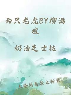 两只老虎BY柳满坡