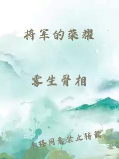 将军的荣耀