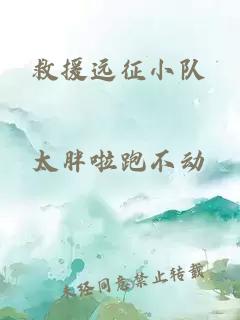 救援远征小队