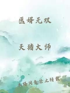 医婿无双