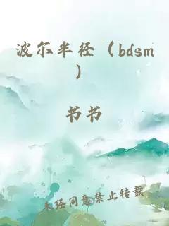 波尔半径（bdsm）