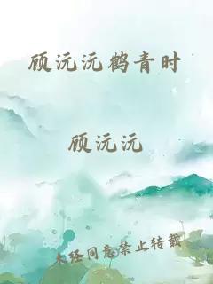 顾沅沅鹤青时