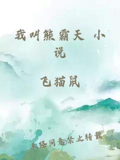 我叫熊霸天 小说