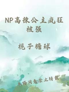 NP高辣公主疯狂被强