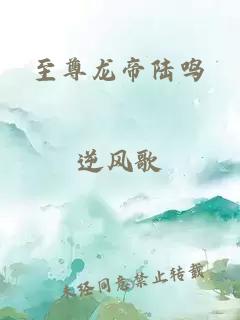 至尊龙帝陆鸣