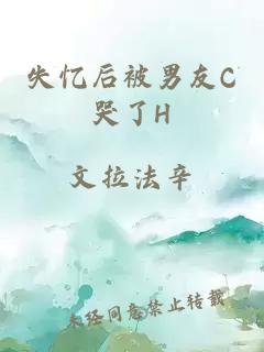 失忆后被男友C哭了H