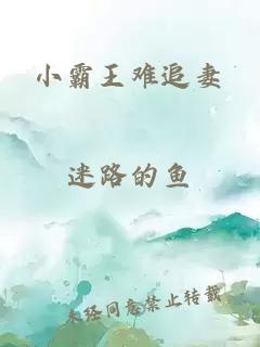 小霸王难追妻