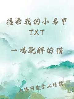 捂紧我的小马甲TXT