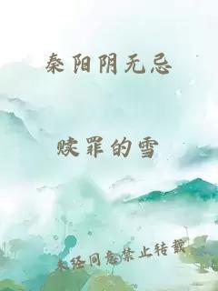 秦阳阴无忌