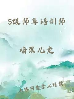 S级师尊培训师