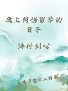 我上网伪留学的日子