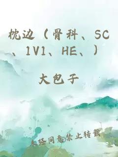 枕边（骨科、SC、1V1、HE、）