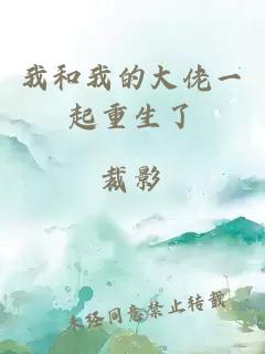 我和我的大佬一起重生了