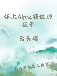 怀上Alpha宿敌的孩子